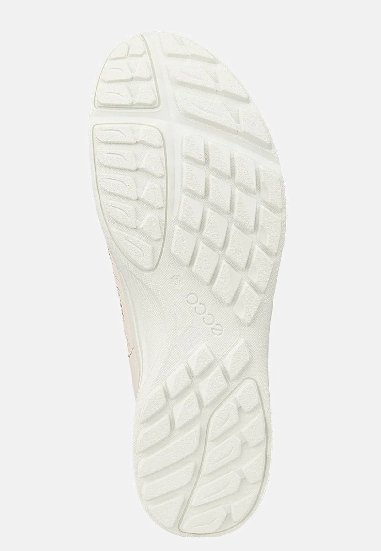 Kondisko Terracruise LT | Cellbes