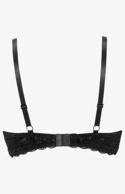 Pushup-bh Dolly | Cellbes